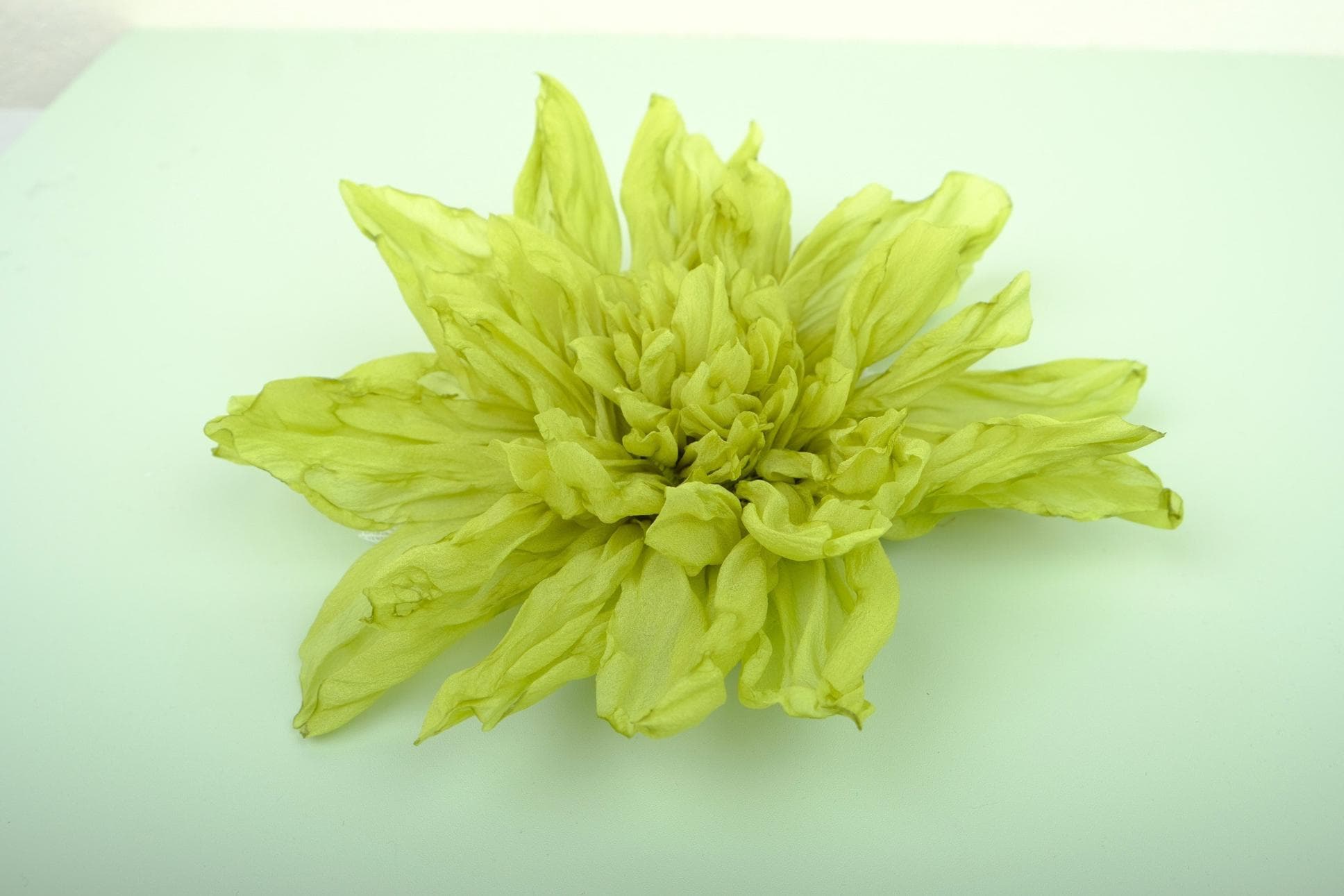 Hoa Cúc Đẹp Làm Bằng Tay