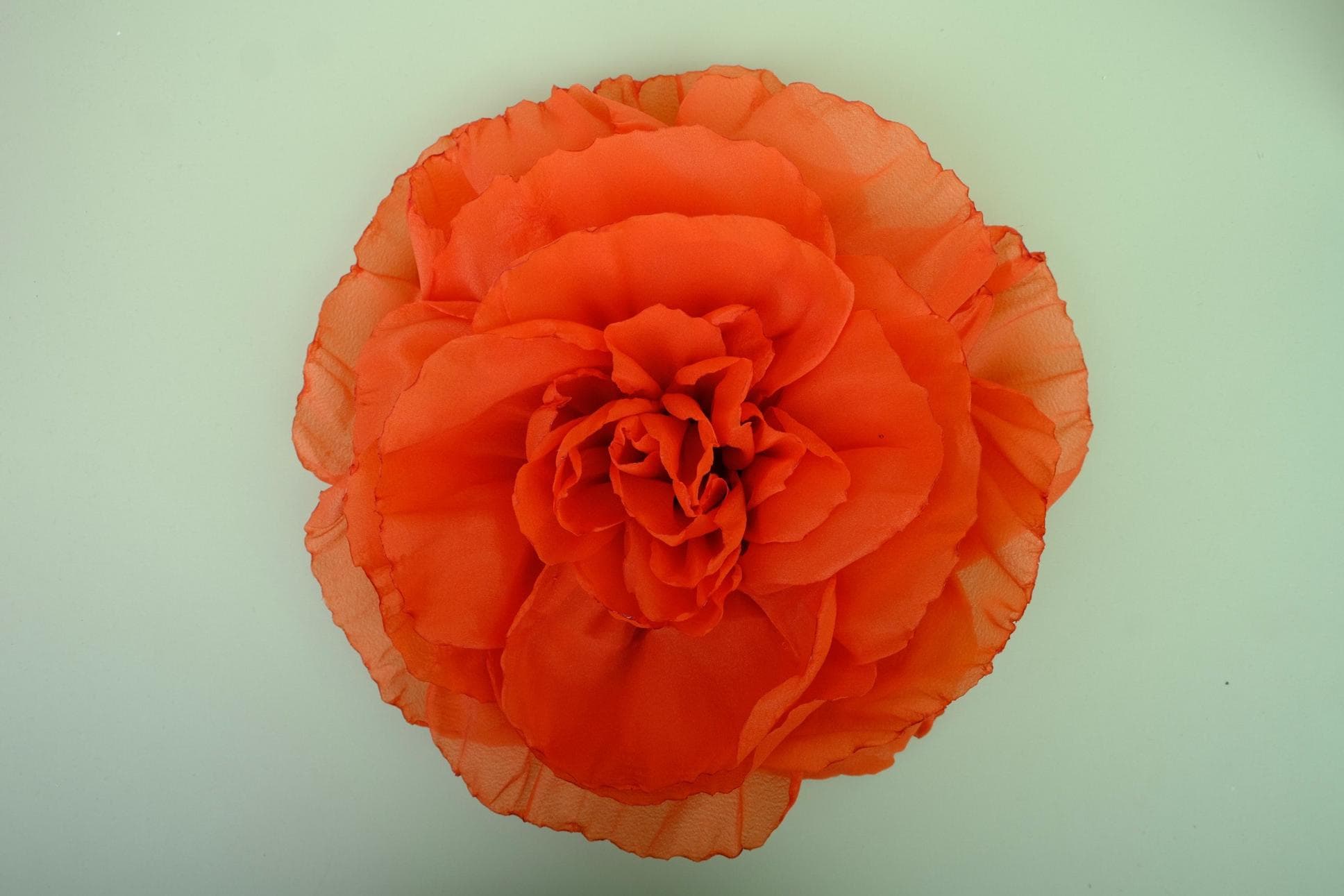 Bông Hoa Hồng Thanh Lịch