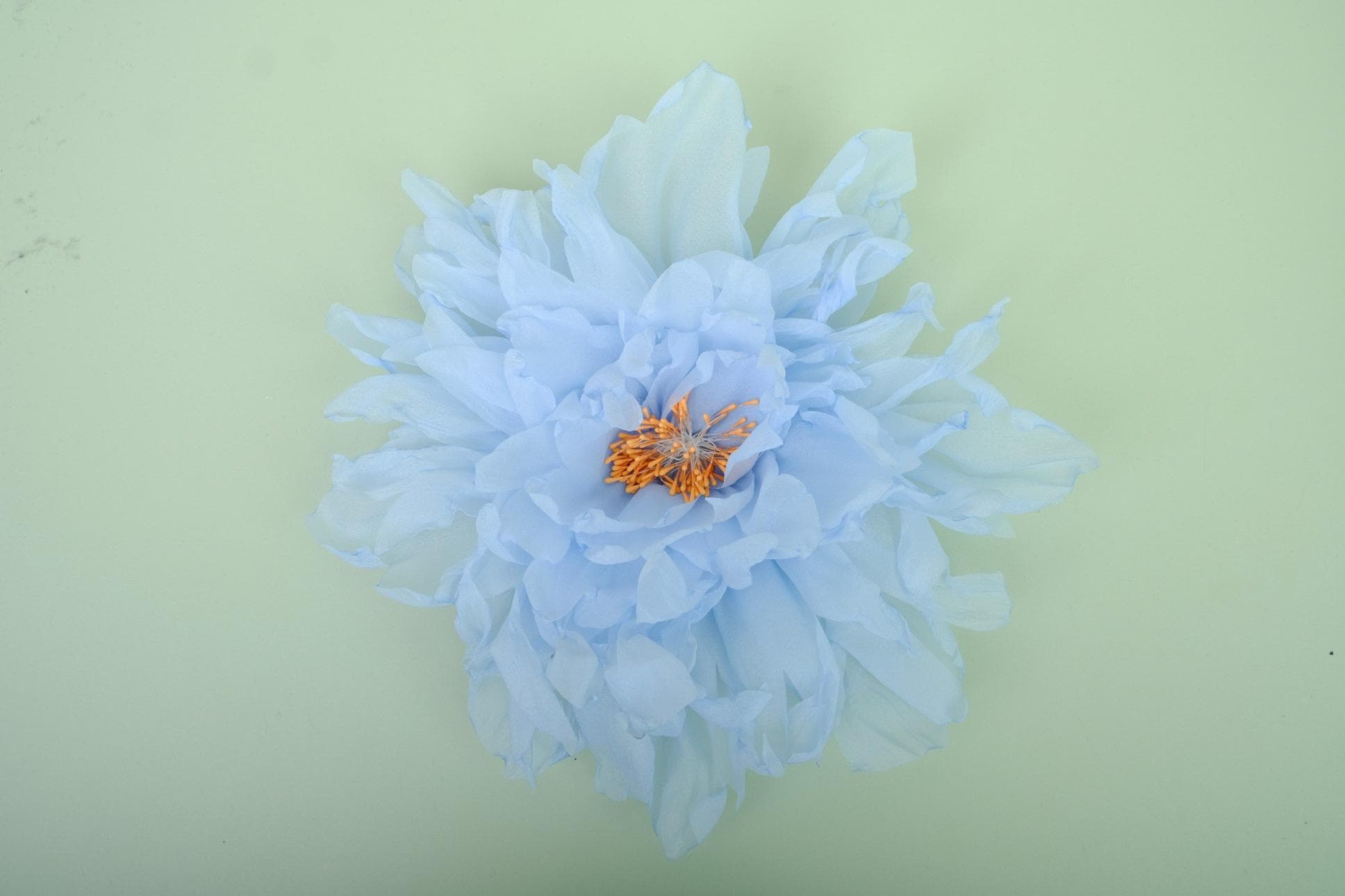 Hoa Mẫu Đơn Làm Bằng Tay Hấp Dẫn