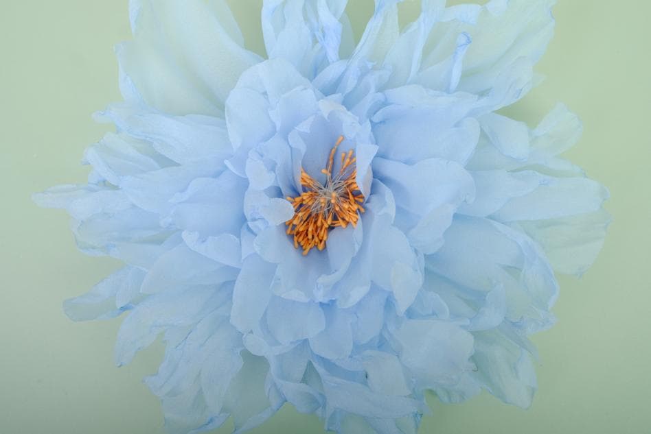 Attractive Hand-Crafted Peony Blooms