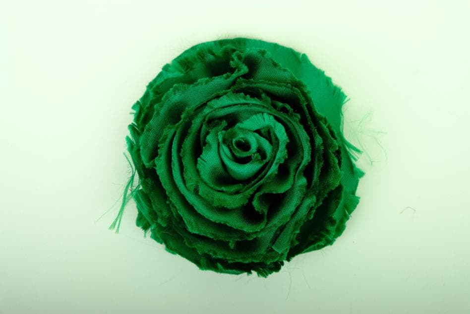 Hoa Hồng Gấm Xanh Lá