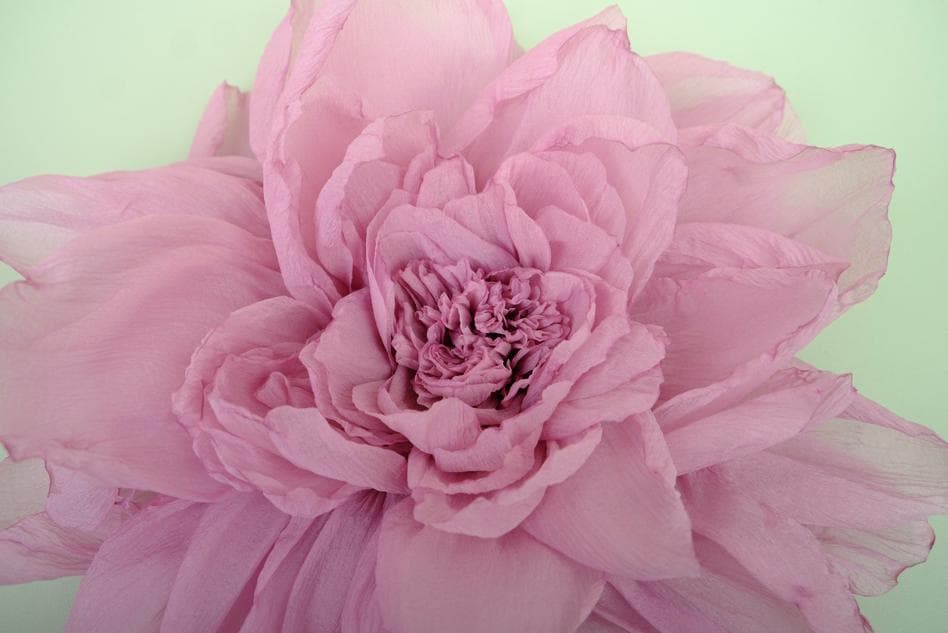 Stunning Handmade Peony Blossoms