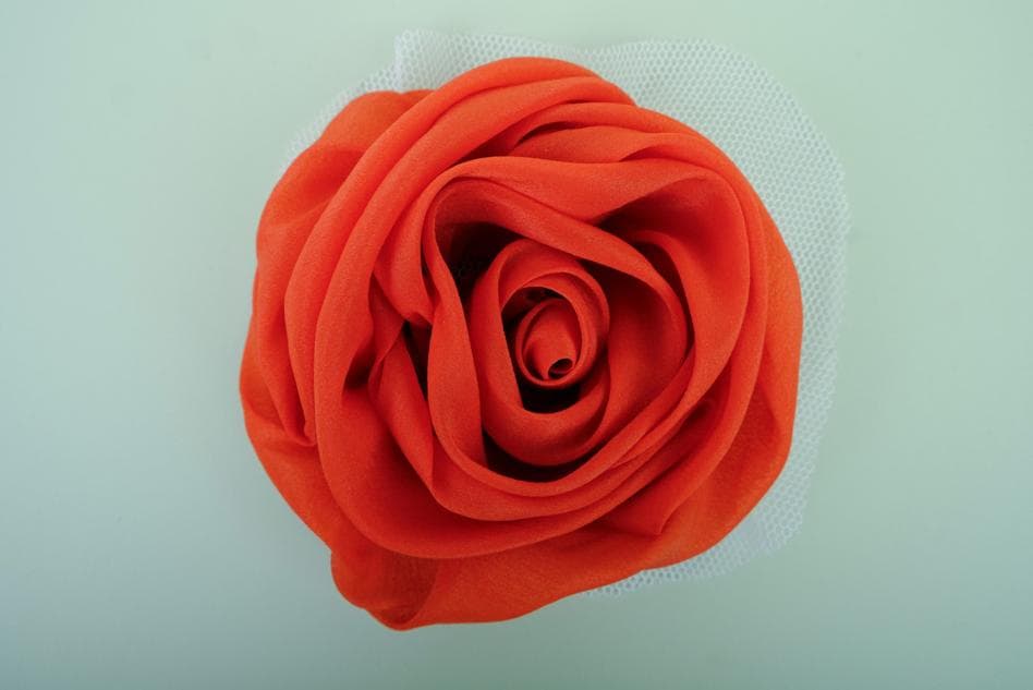 Bông Hoa Hồng Quyến Rũ